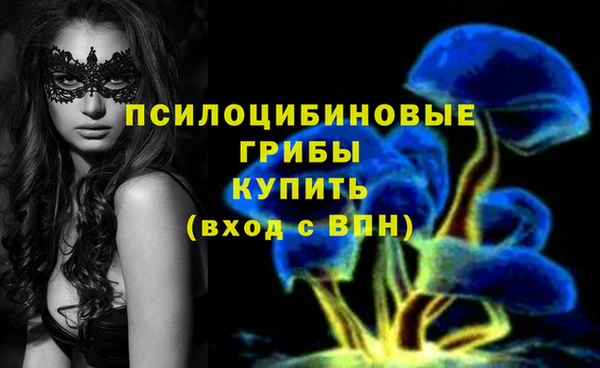 наркотики Алексин
