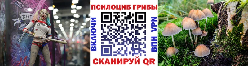 Псилоцибиновые грибы Magic Shrooms  продажа наркотиков  Жердевка 